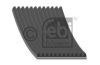 NEOPL 06580490030 V-Ribbed Belts